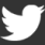 Icone Twitter